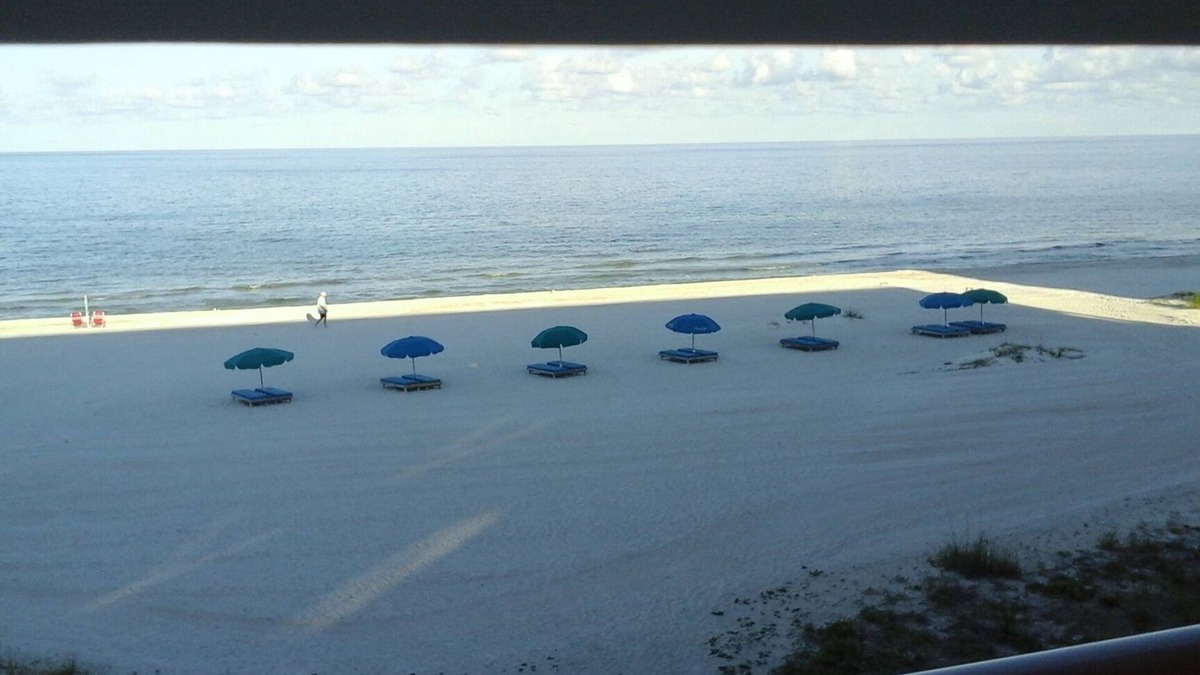 Indian Shores Condo | Beautiful beachfront couples retreat #202 - Special building reno Pricing