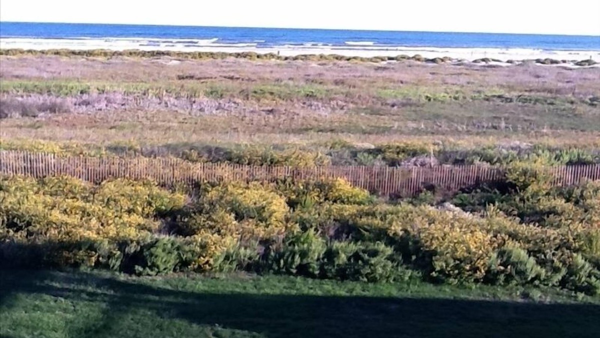 Red Fish Cove Condo | Beautiful Beachfront Condo next to the Beach Club