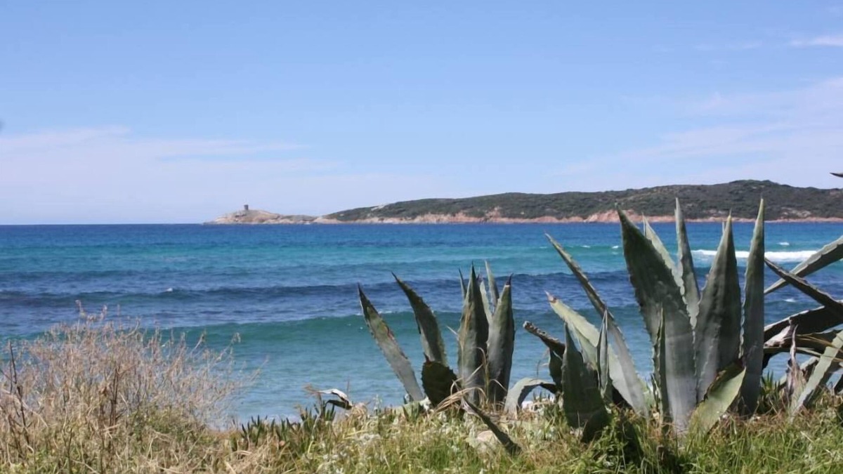 Cargese House | Beautiful big house close to the sea
