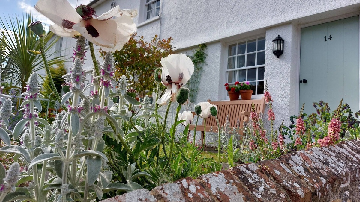 Steyning Cottage | Beautiful cosy Rosebud Cottage in picturesque Steyning