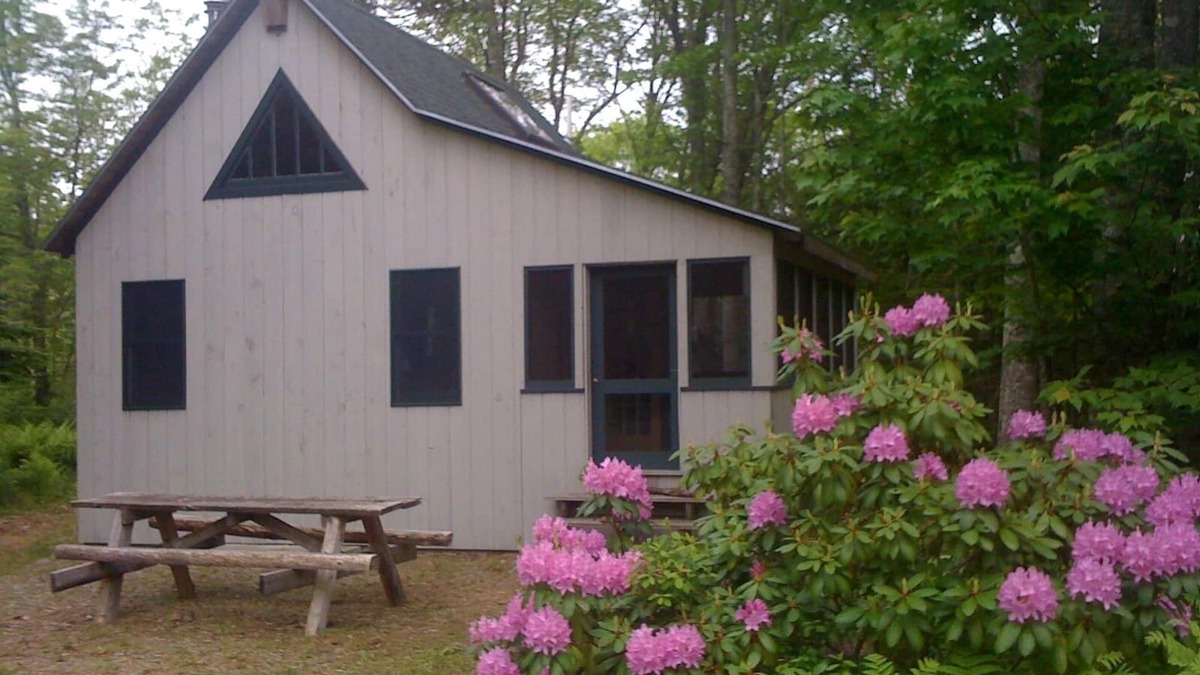 Lamoine Beach Cottage | Beautiful cottage in the woods, quiet, close to beach and State Park