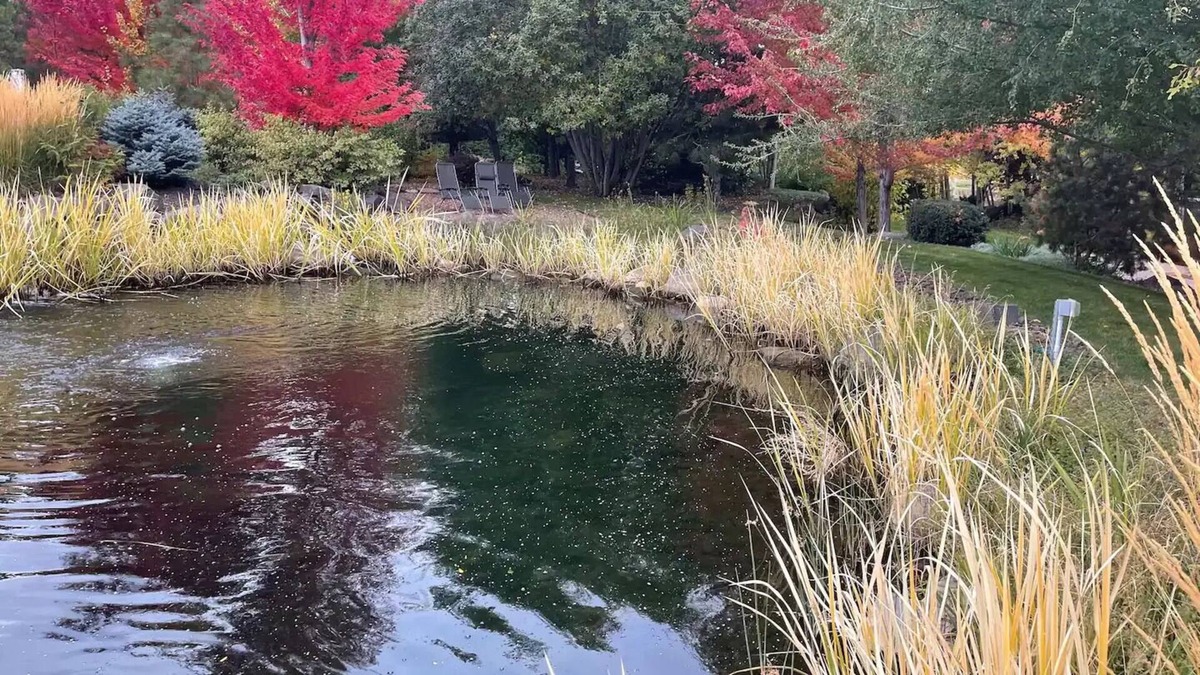 Yakima Apartment | Beautiful Cottage with valley views overlooking orchards.