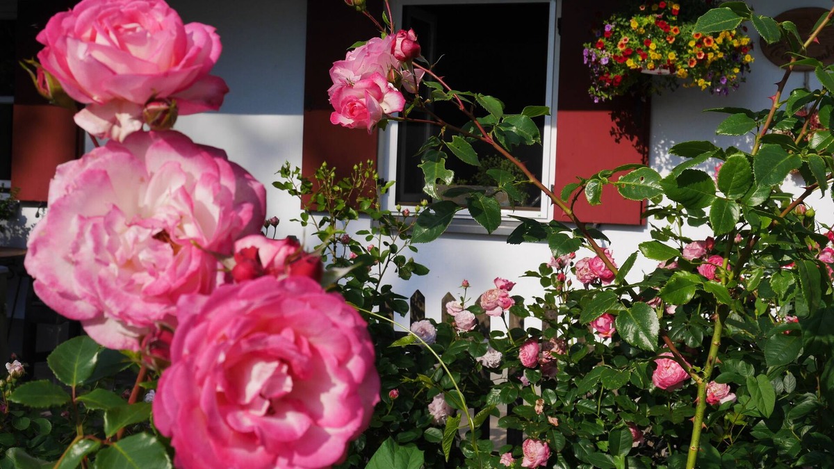 Schwabmuehlhausen House | Beautiful country house with fireplace and garden between Munich and Allgäu