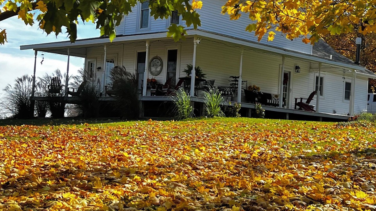 Watkins Glen House | Beautiful Fingerlakes Farm Home minutes to WGI, located on Vintage road course.