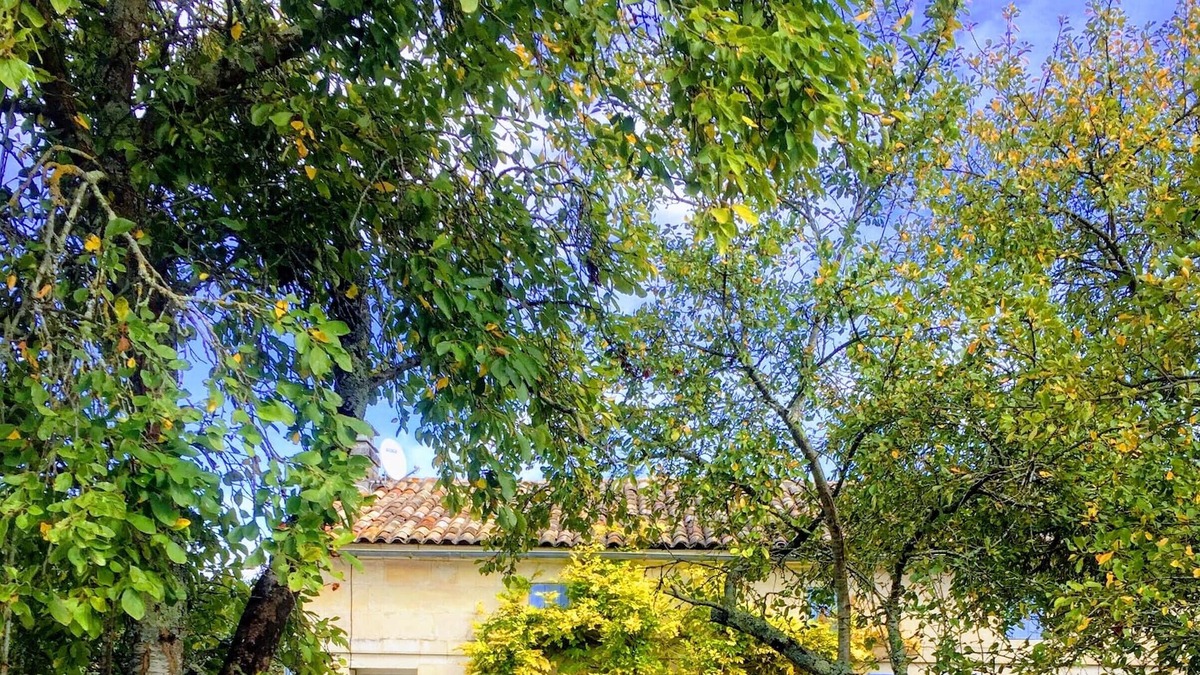 Saint-Palais-de-Phiolin House | Beautiful Gite 1 hour from Bordeaux & La Rochelle