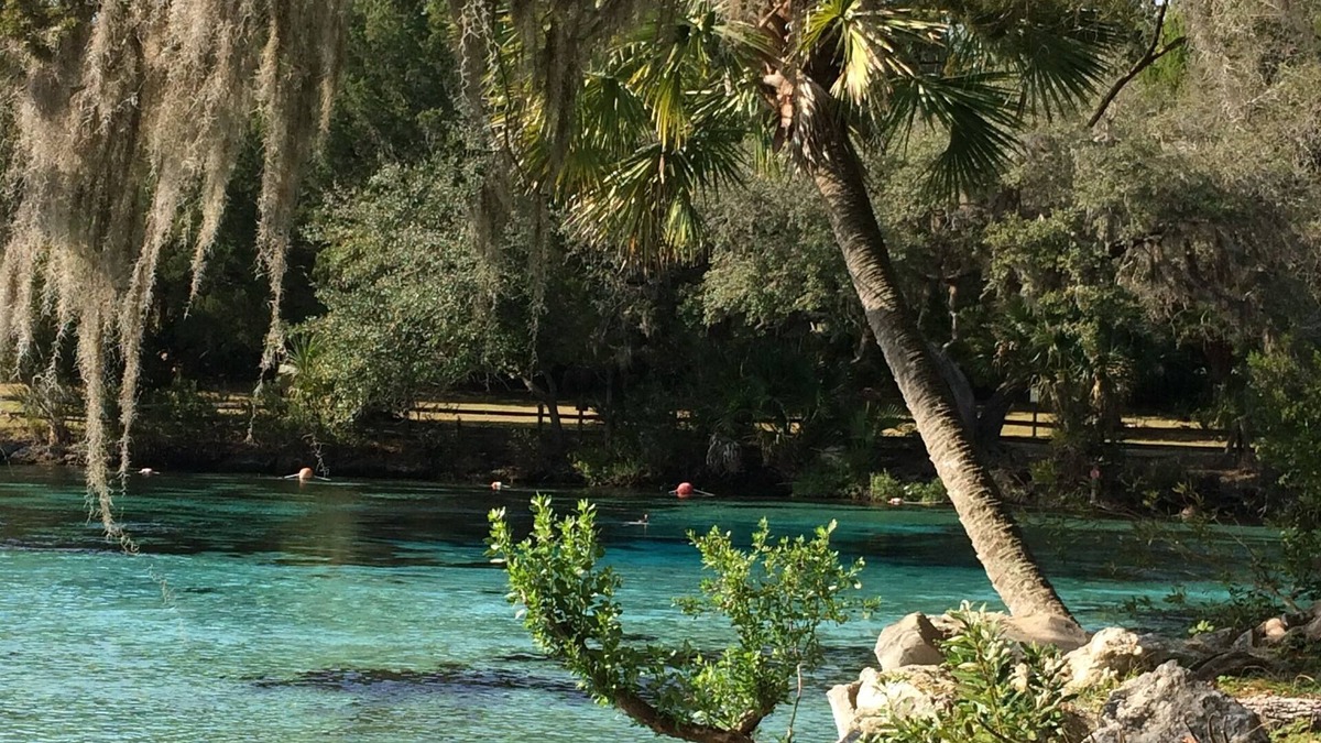 Salt Springs House | Beautiful Get-away - Ocala National Forest @ Salt Springs Resort- Loaner kayaks!