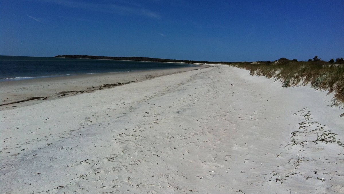 West Yarmouth House | Beautiful Great Island Pool Home, Private Beaches, water views, Love Dogs!