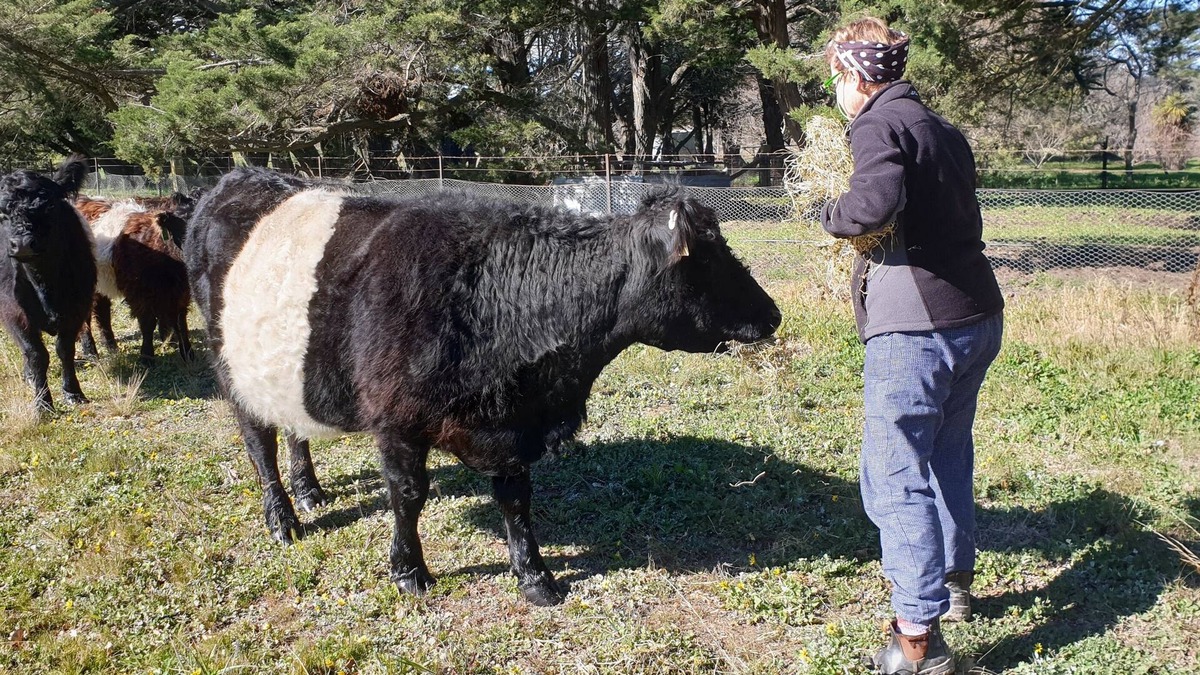 Tirrannaville Other | Beautiful historic sheep station - stunning outlook/bird watching - 2h from Syd