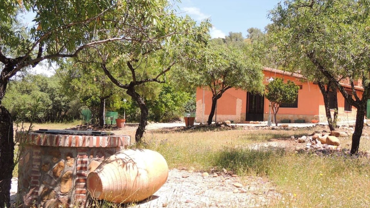 Belvis de la Jara House | Beautiful house in the middle of the field