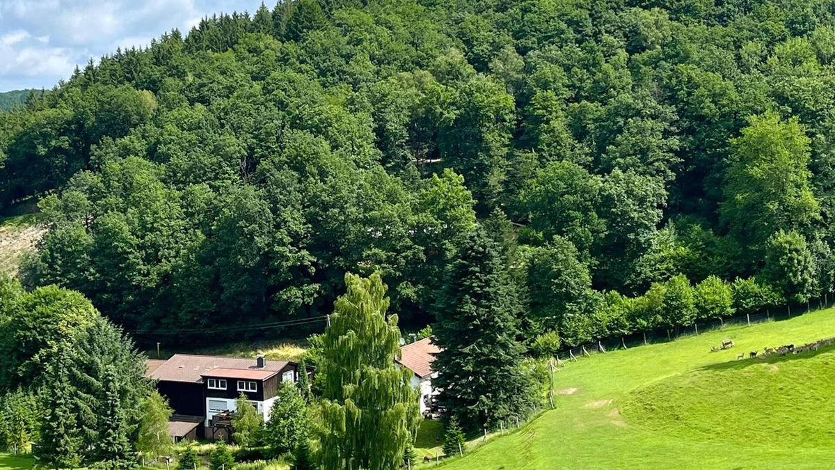 Lennestadt Apartment | Beautiful holiday apartment in the Sauerland