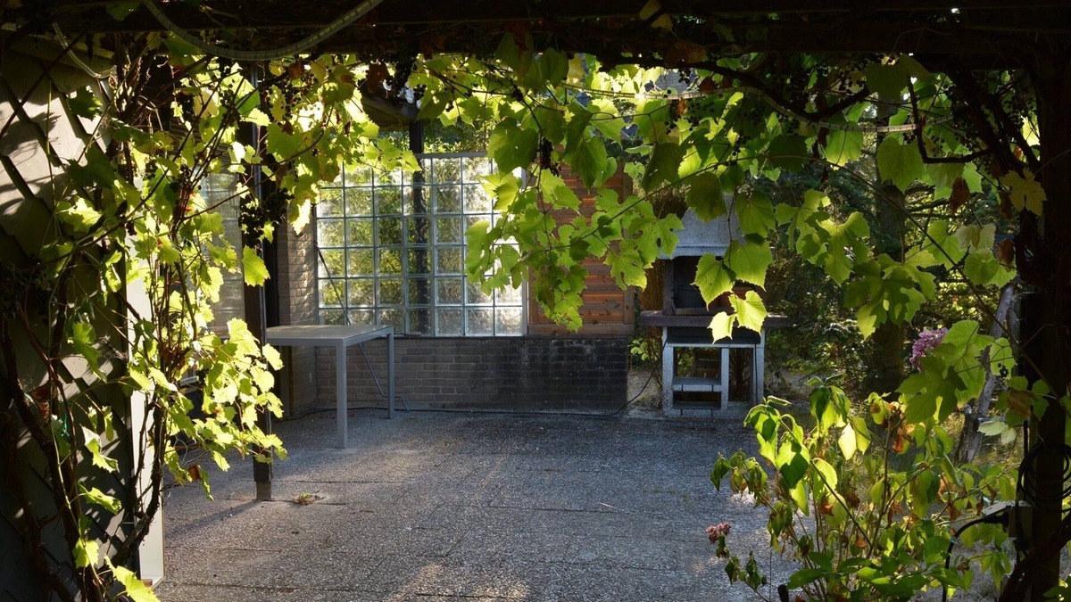 Eurostrand House | Beautiful holiday home for up to 6 people with a large enchanted garden