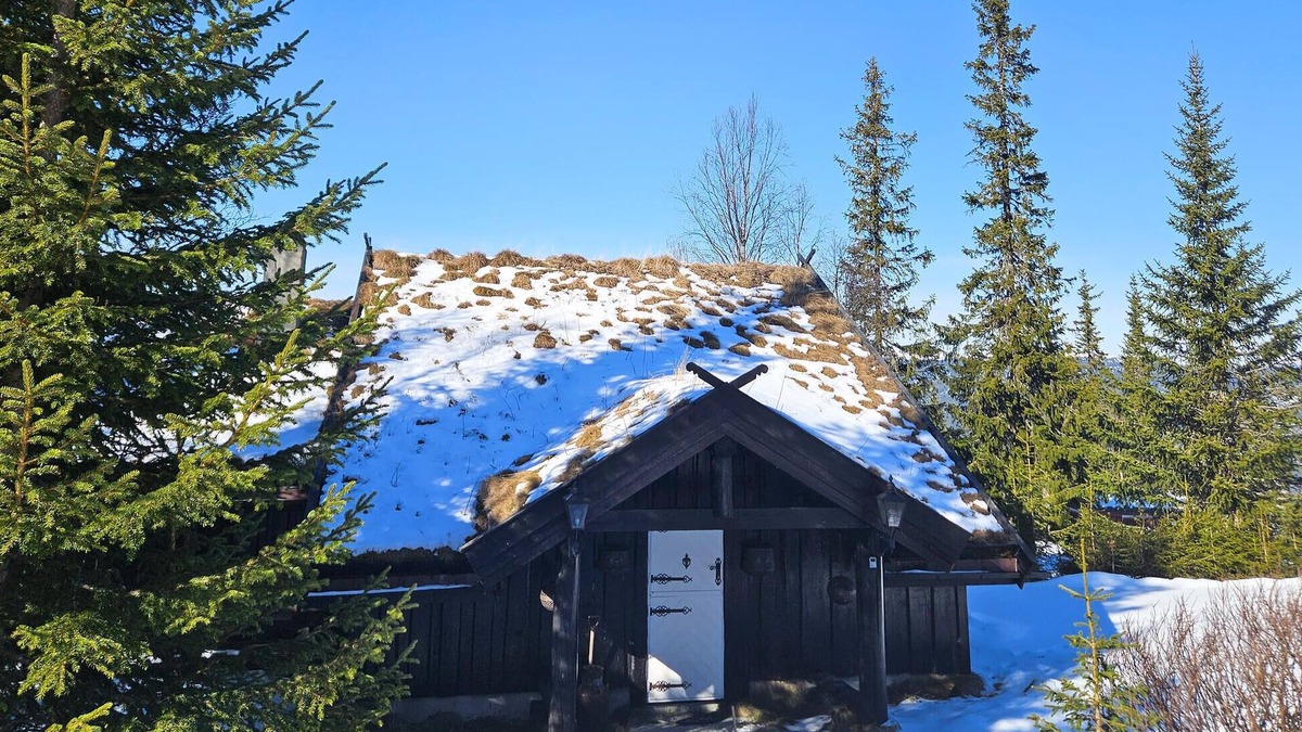 Nes House | Beautiful home in Nesbyen with sauna