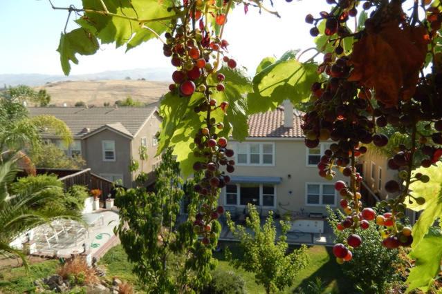Silver Creek House | Beautiful Home in Quiet Area