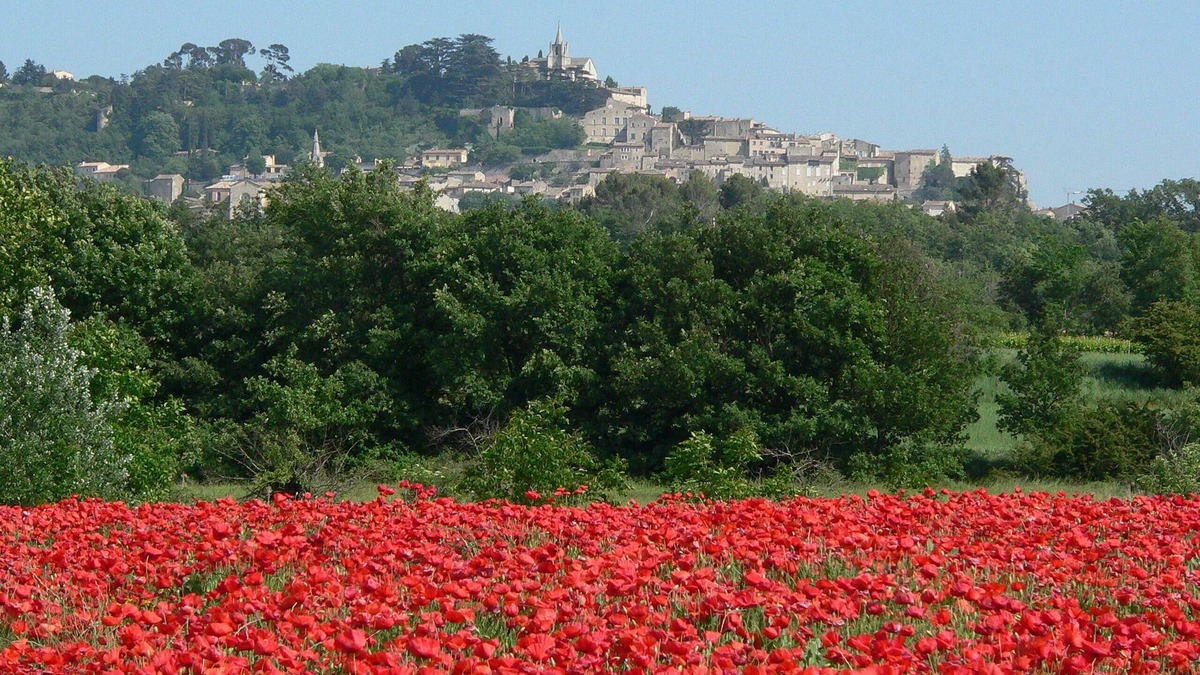 Bonnieux Cottage | Beautiful house in Luberon