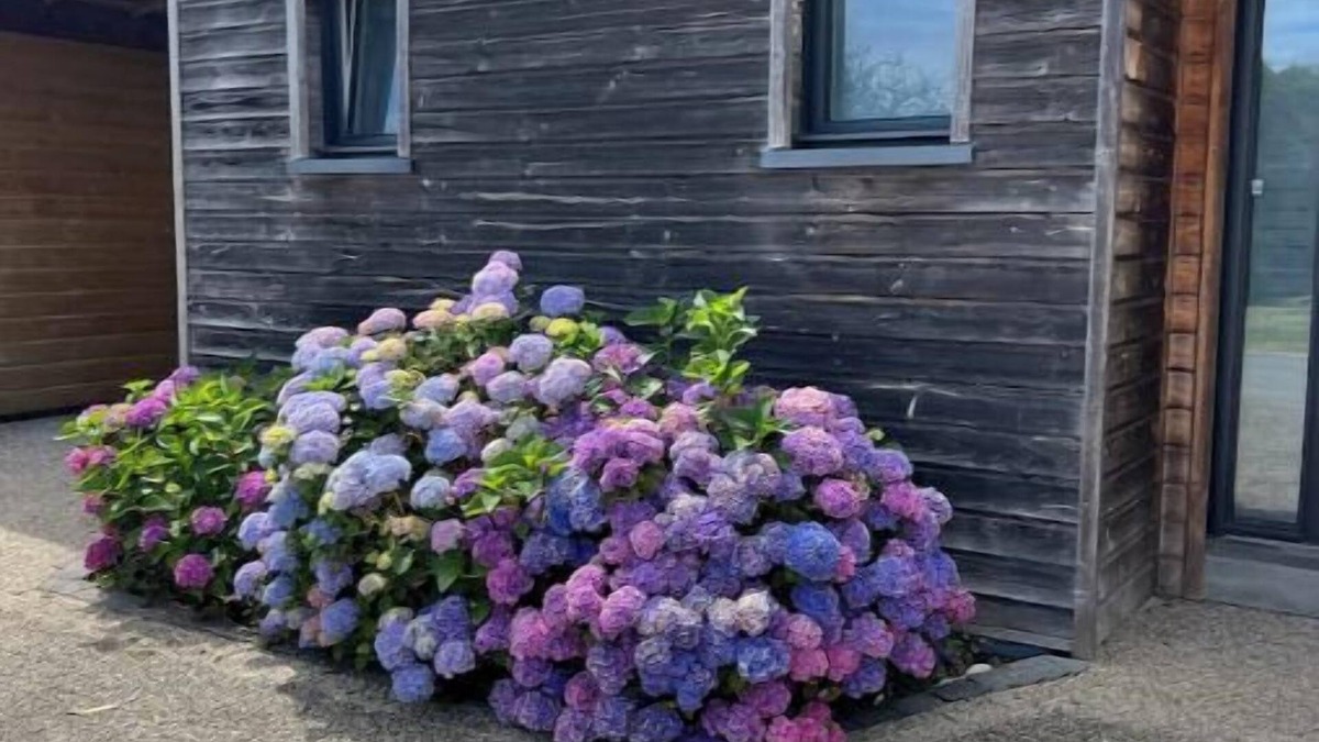 Plouhinec House | Beautiful house in southern Brittany by the sea