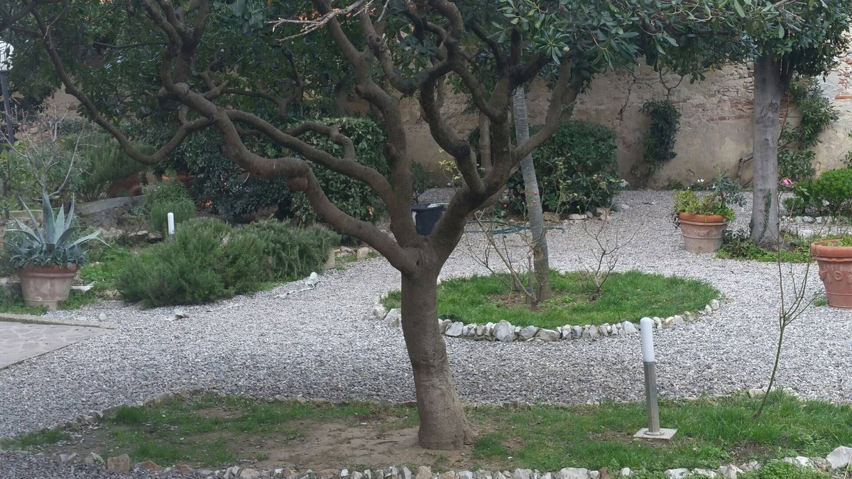 Marina di Pisa House | Beautiful house in Villa Liberty