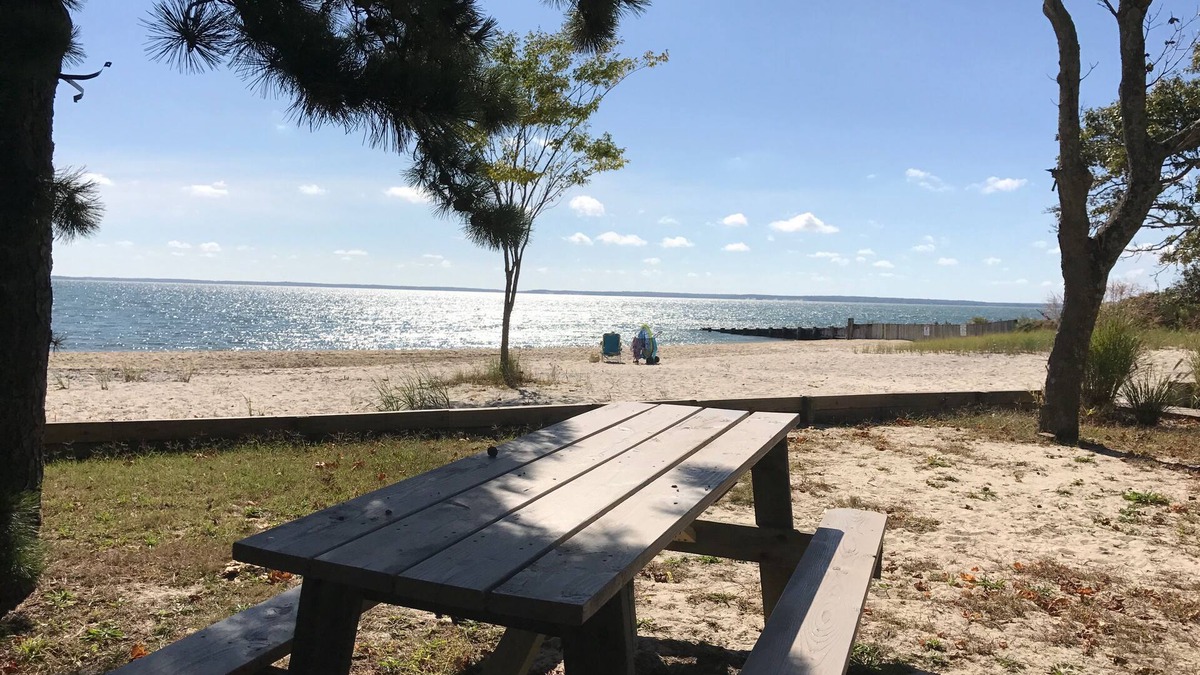 Mattituck House | Beautiful house, large private yard, only two minutes walk from private beach