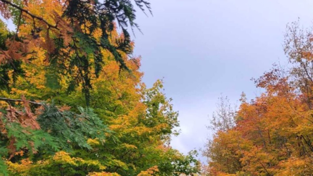 Manitoulin District House | Beautiful Lake Front Cottage