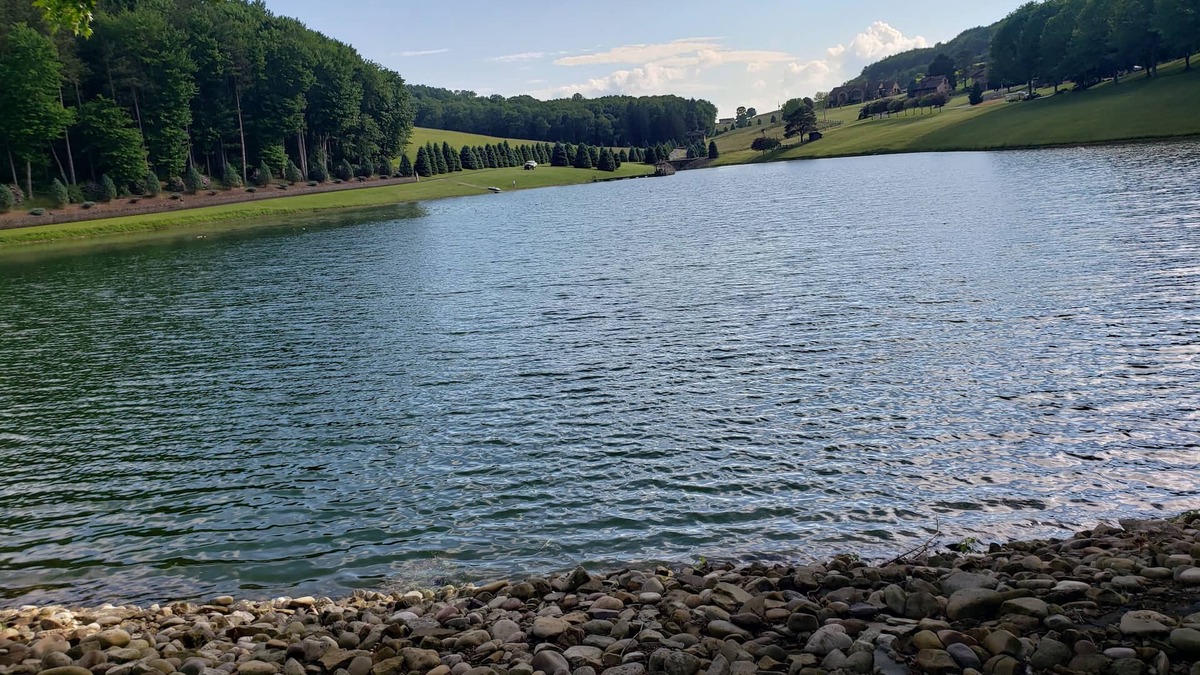 Ringgold Cottage | Beautiful lake view property nestled in the pines 79 miles north of Pittsburgh.