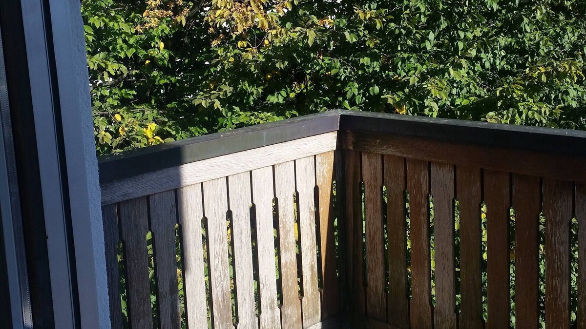 Hirslanden Apartment | Beautiful, large, sunny 1.5 room studio (50 sqm); family-friendly