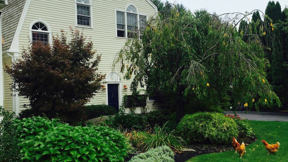 Rye Apartment | Beautiful light filled apartment -rarely available!