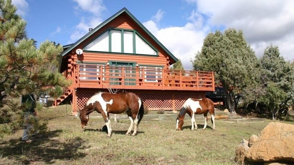 Pagosa Springs House | Beautiful Log Home on Five Acres with Horse Facilities!