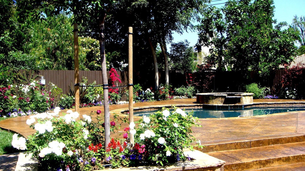 Northridge House | Beautiful, Luxurious, Resort Like Home in Sherwood Forest, California