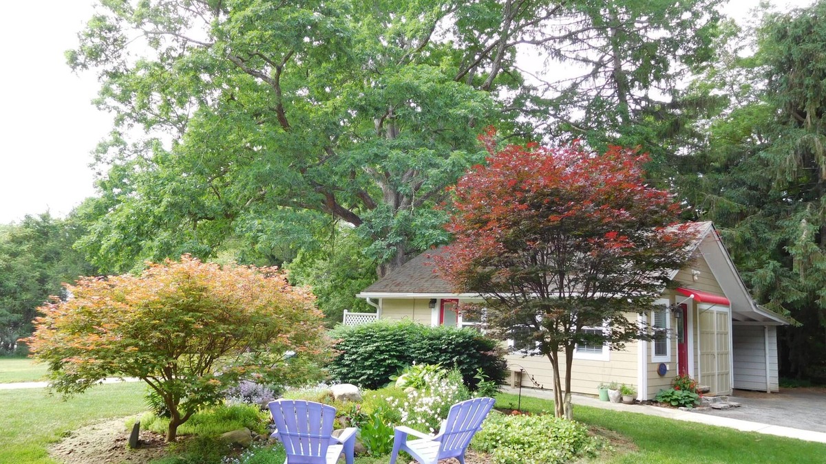 Hendersonville Cottage | Beautiful Mountain Getaway - All Four Breathtaking Seasons!