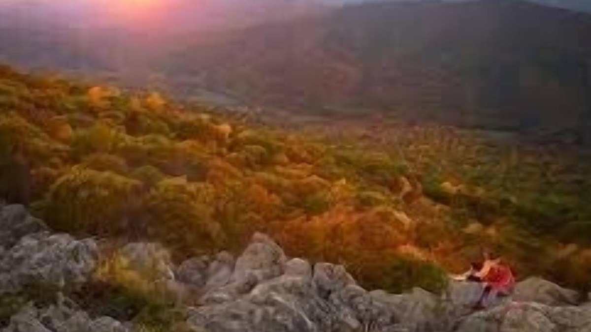 Roseland Apartment | Beautiful Mountain View’s near Wintergreen breweries wineries Dog friendly