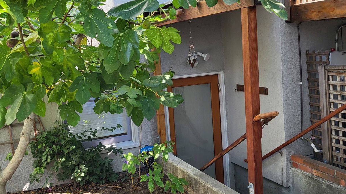 Berkeley Hills Apartment | Beautiful North Berkeley private 1 bedroom flat