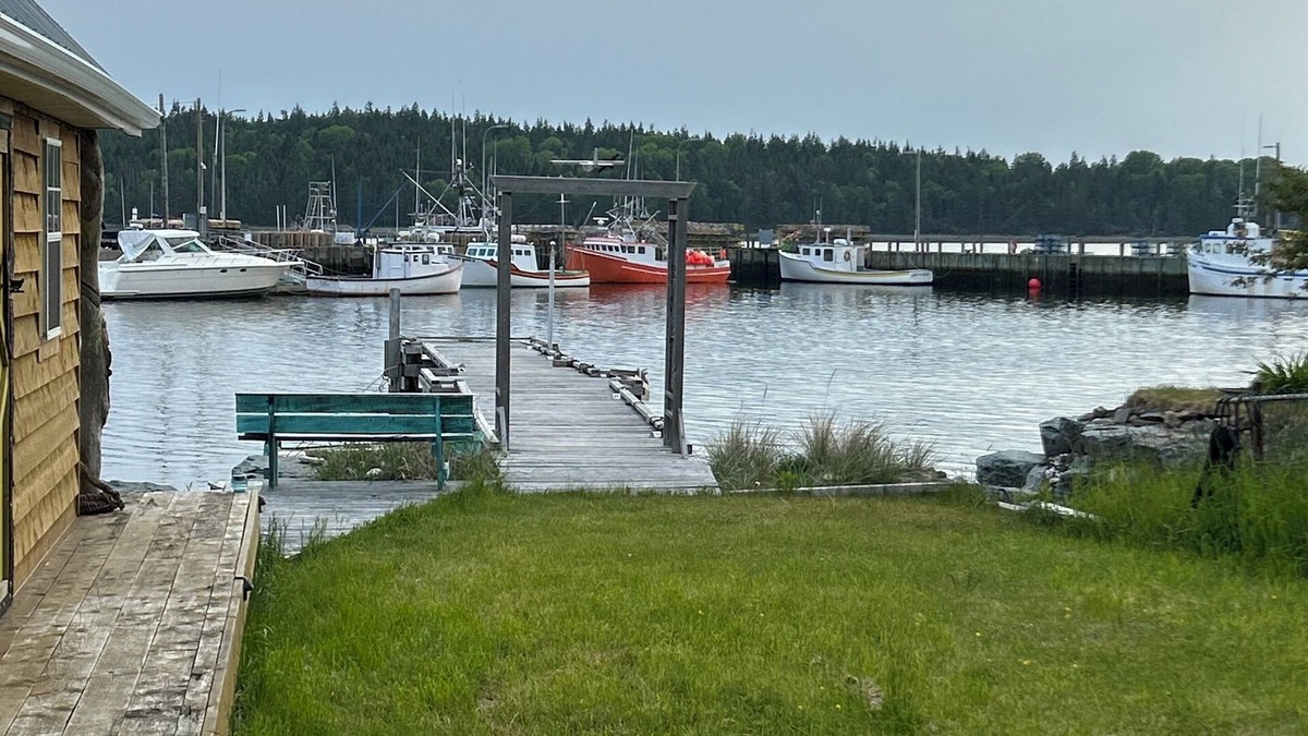 Eastern Passage House | Beautiful Ocean view retreat in Eastern Passage: Serenity by the Ocean 🌊