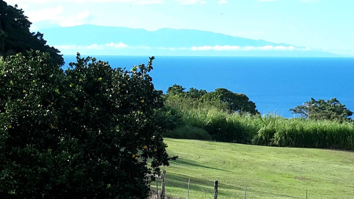 Kukuihaele Apartment | Beautiful ocean views located minutes away from Waipio Valleyn