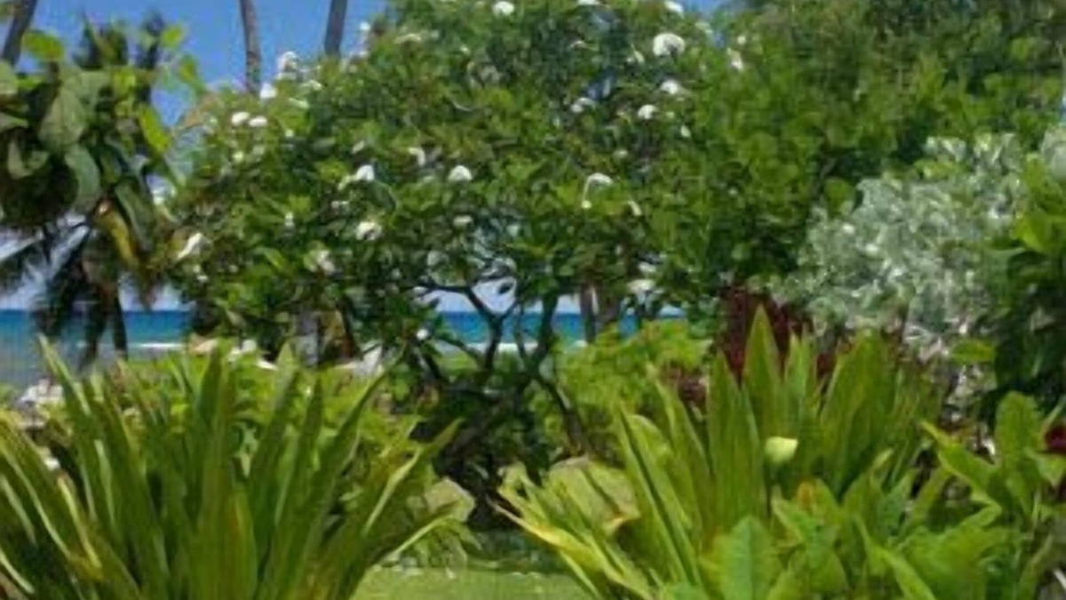 Mokuleia House | Beautiful Oceanfront Hideaway