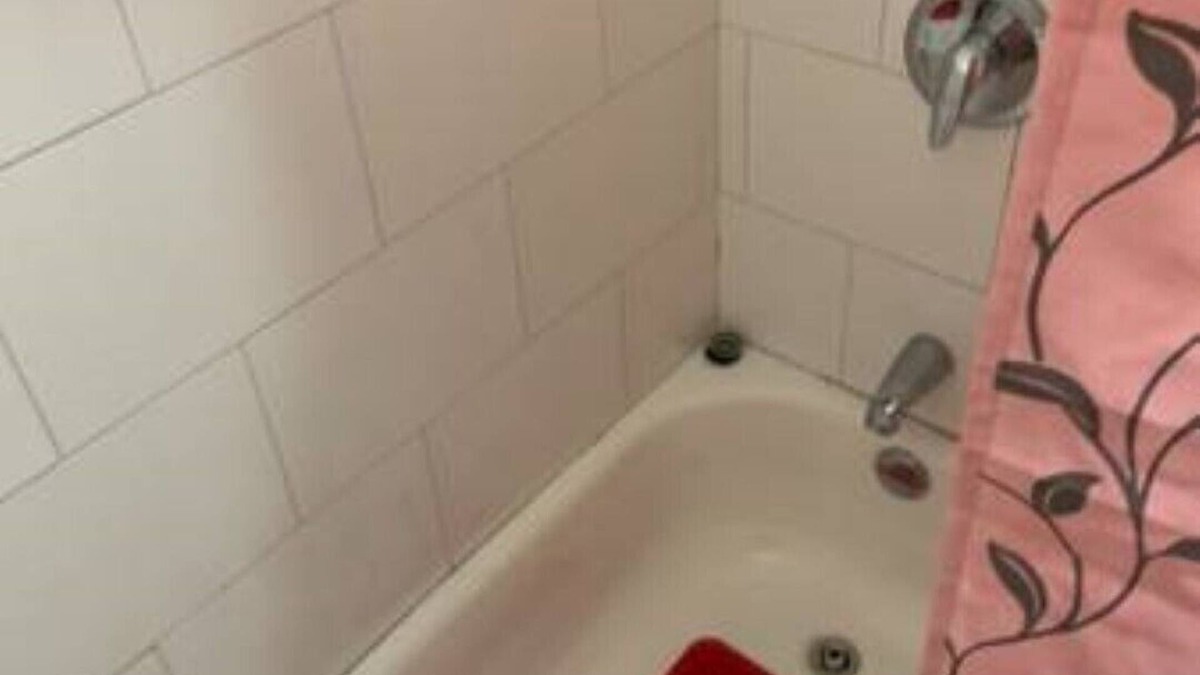 Highbridge Apartment | beautiful one bedroom apt yankee stadium