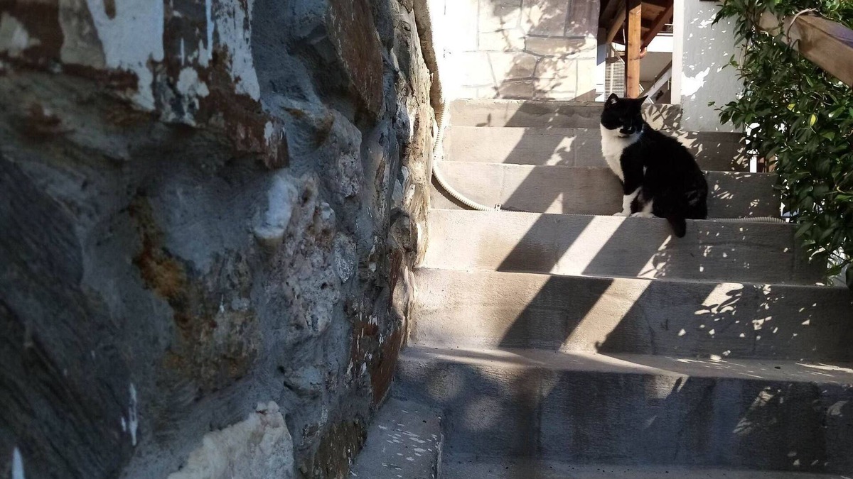 Agios Nikolaos Apartment | Beautiful Petrino 1880