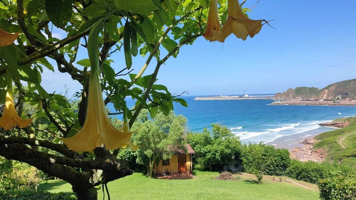 Albandi House | Beautiful seaside villa. Peace&wilderness just stone's throw from Gijón Asturias