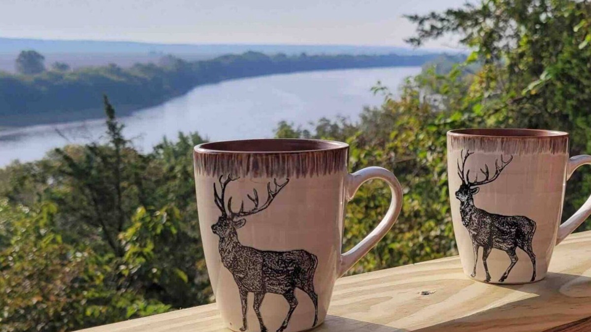 Patterson Cabin | Beautiful secluded lodge with a breathtaking view!