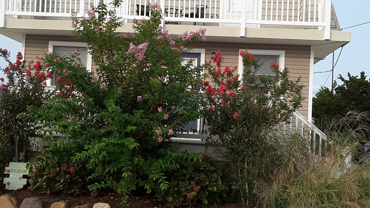 Ship Bottom House | Beautiful, spacious within blocks to both beach and bay.