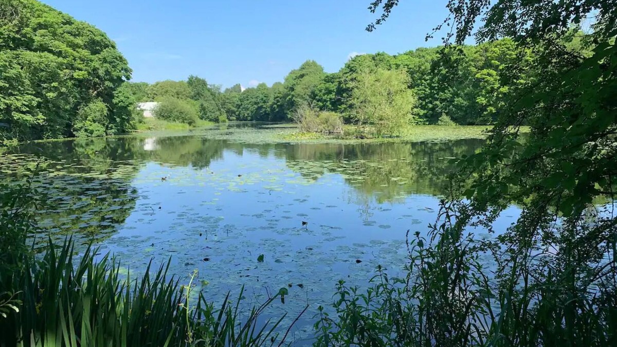 Stoke Bardolph House | Beautiful stay next to lakes and river