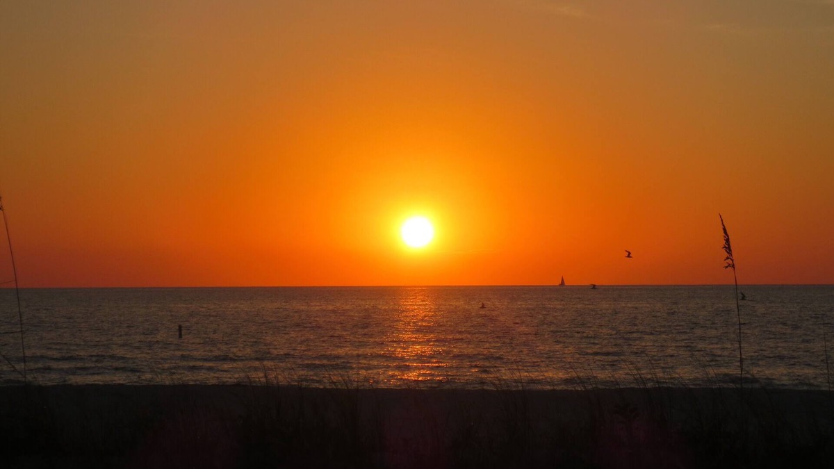 Belleair Beach Condo | Beautiful Sunsets on the Beach!