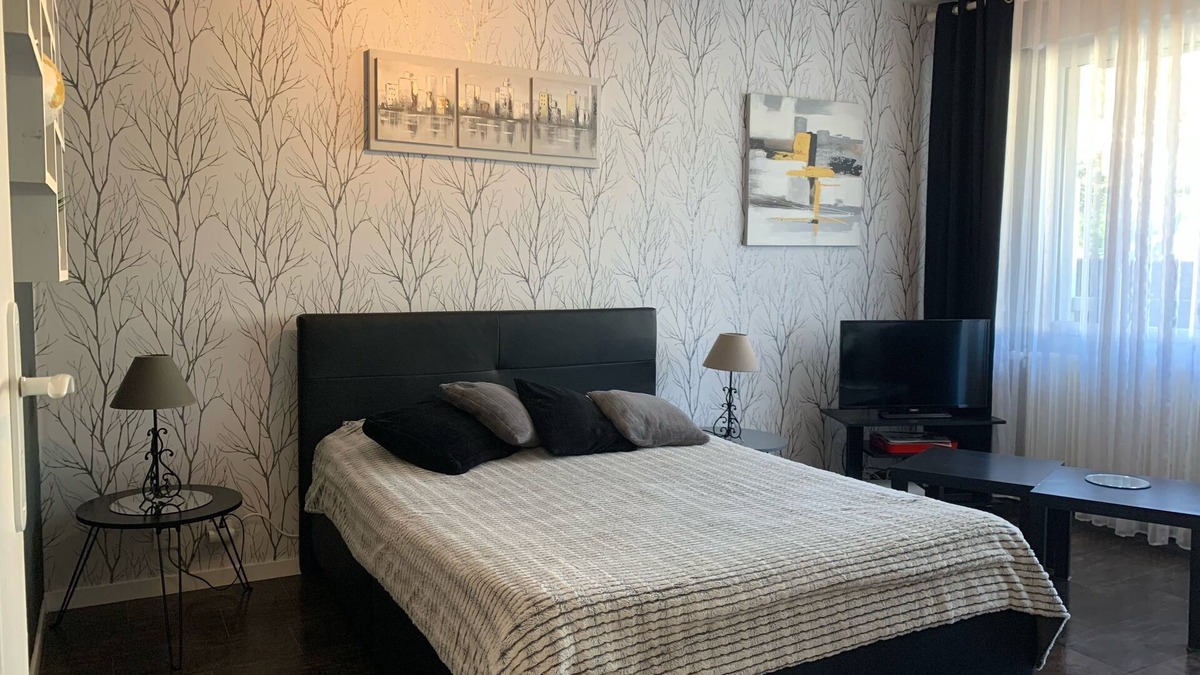 Thonon-les-Bains Apartment | beautiful T1 30 m2, gated, near downtown, private parking. Wireless