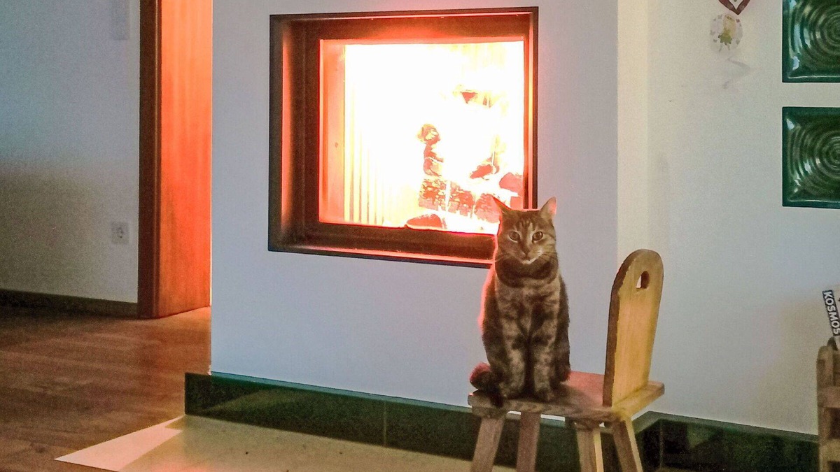 Techelsberg am Worther See Villa | Beautiful villa for 7 people with WIFI, TV and terrace