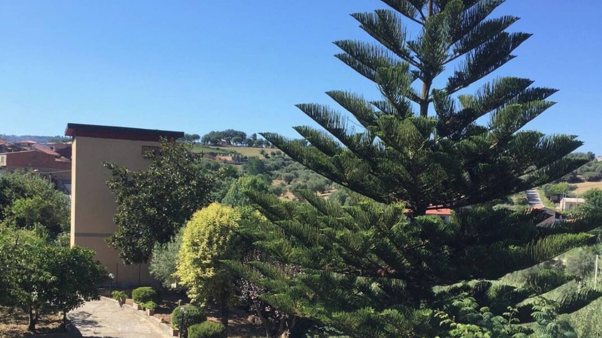 Mileto Villa | Beautiful Villa in the calabrian countryside