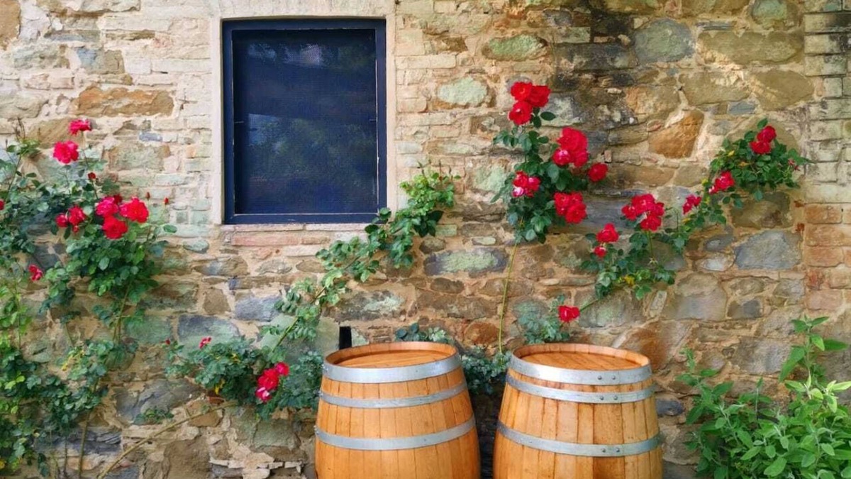 Torgiano Villa | Beautiful Villa In Umbria, swimming pool, Airco