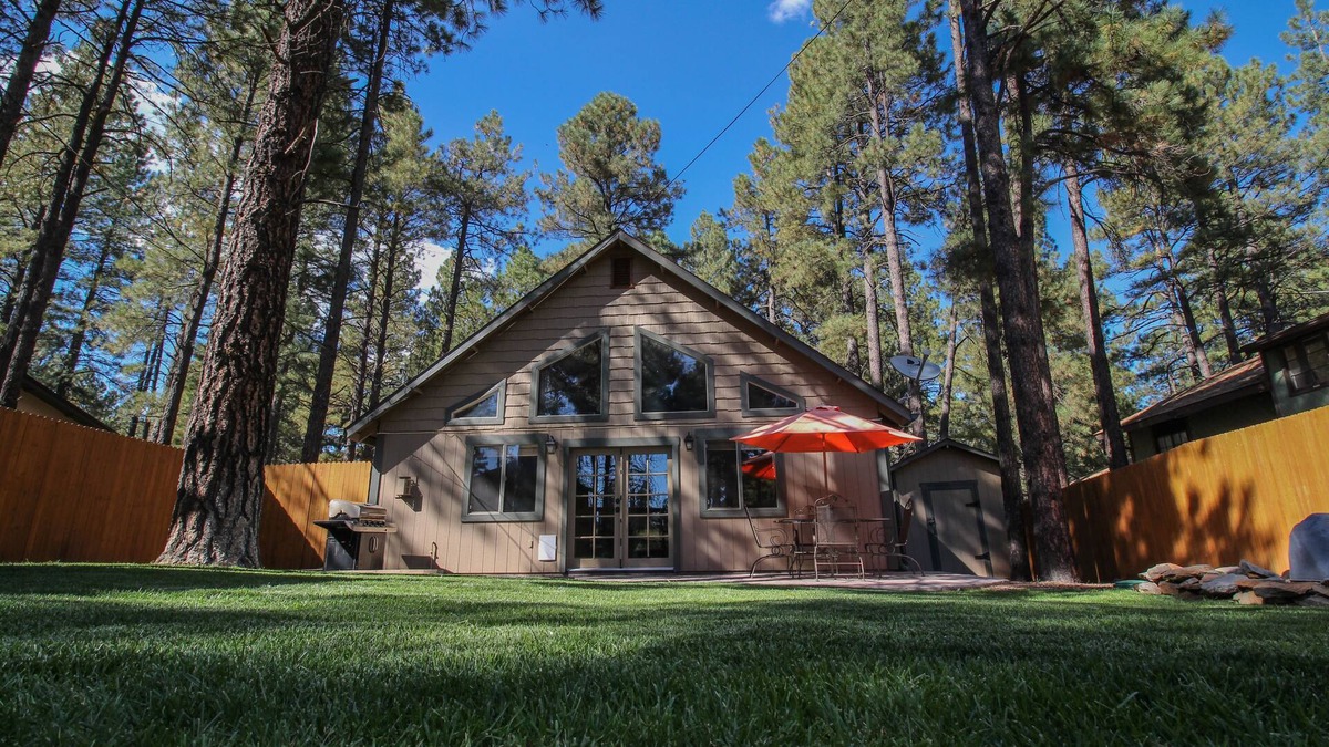 Mountainaire Cabin | Beautiful Wooded Dream Cabin Backs Forest