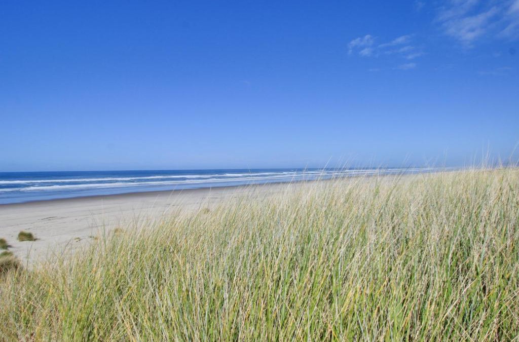 Bayshore House | Beauty and the Beach