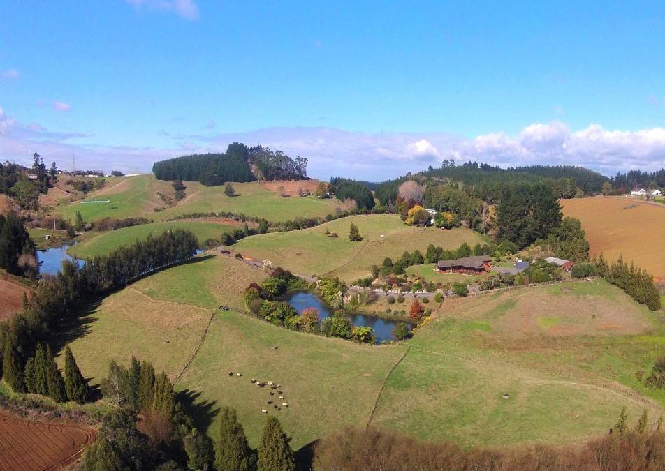 Bombay House | Beaver Farm House
