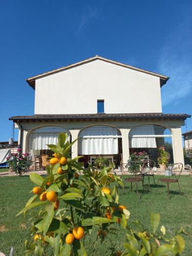 Fratta Terme Bed & Breakfast | BeB montefratta
