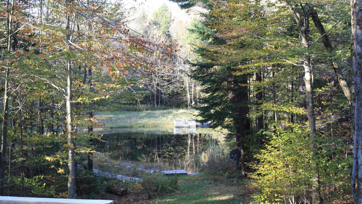 Becket House | Becket Contemporary Cottage in the Woods Overlooking a Private Spring Fed Pond