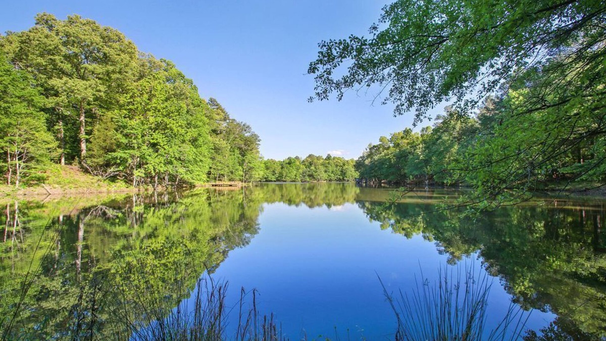Rockmart Apartment | Becks Lake Studio n Fire Pit 3/4 mile to Silver Comet Trailnnear wedding venues